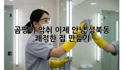 😱 곰팡이 악취, 이제 안녕! 성북동 쾌적한 집 만들기 ✨