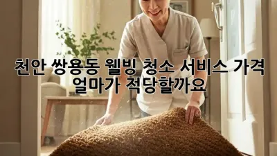 천안 쌍용동 웰빙 청소 서비스 가격, 얼마가 적당할까요?